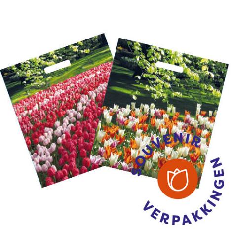 Plastic tas 38 x 44 cm + 2x4 cm, 50my,  'TULPEN'