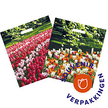 Plastic tas 38 x 44 cm + 2x4 cm, 50my,  'TULPEN'